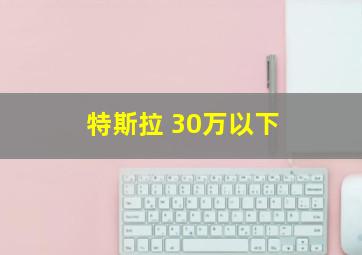 特斯拉 30万以下